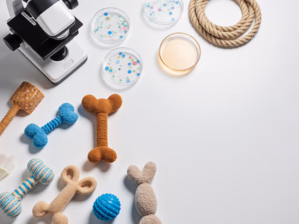 allergy_testing_protocols_for_dog_toys